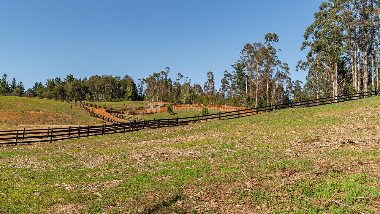 PROYECTO COLONIA CASABLANCA